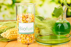 Caston biofuel availability