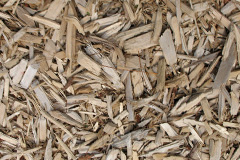 biomass boilers Caston